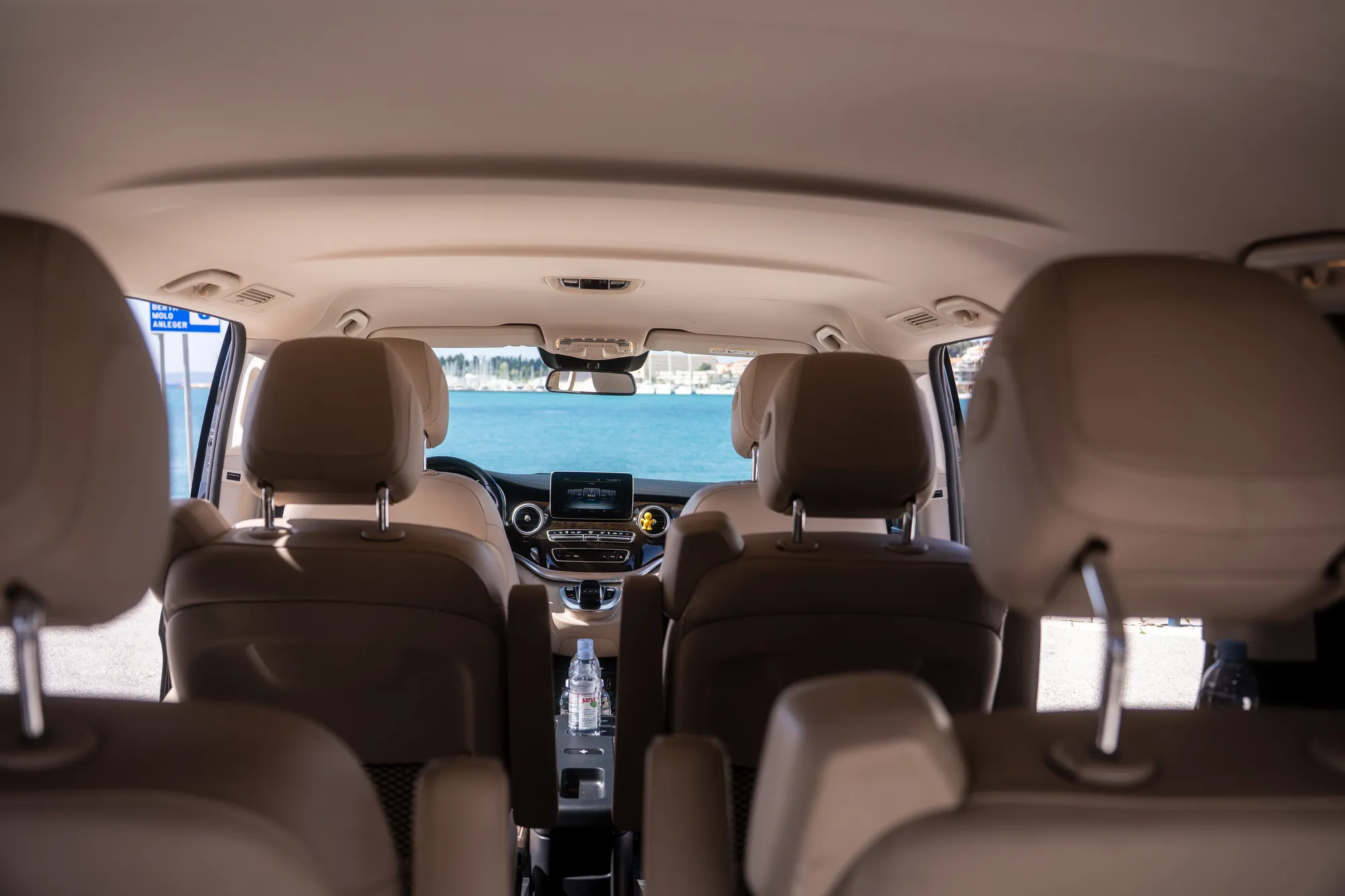 Mercedes V-Class Dalmatian backdrop